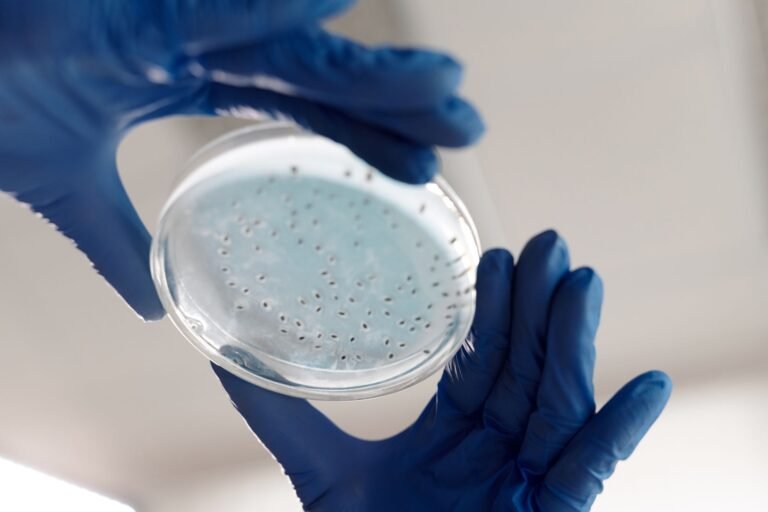 Resistencia Antimicrobiana: Un Desafío Global
